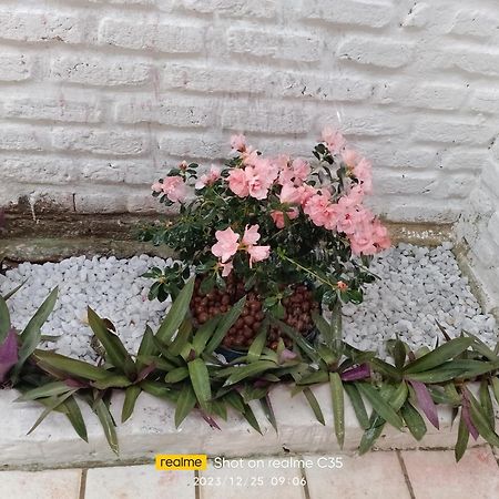 Pousada Sol Nascente Beberibe Εξωτερικό φωτογραφία